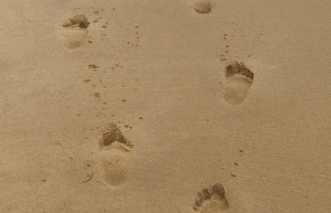 Footprints in wet sand showing the shape of the arch